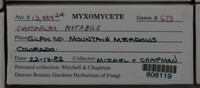 Image Associated With the Occurence